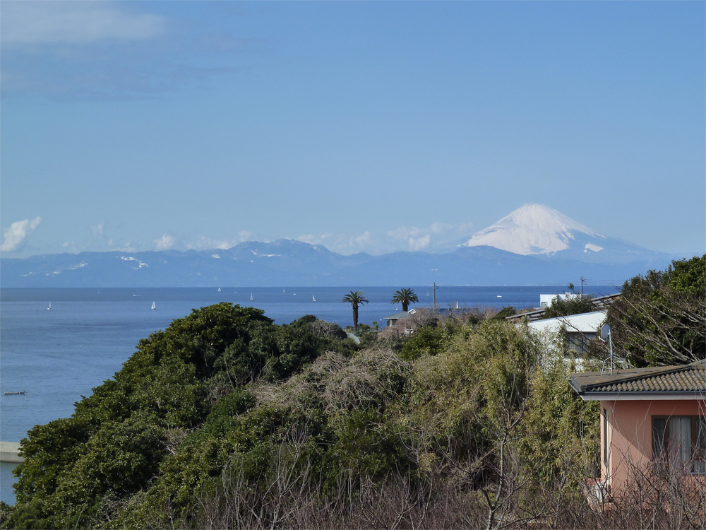 横須賀市・逗子市・三浦市・三浦郡葉山町の不動産売買なら株式